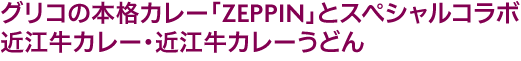 title_zeppin